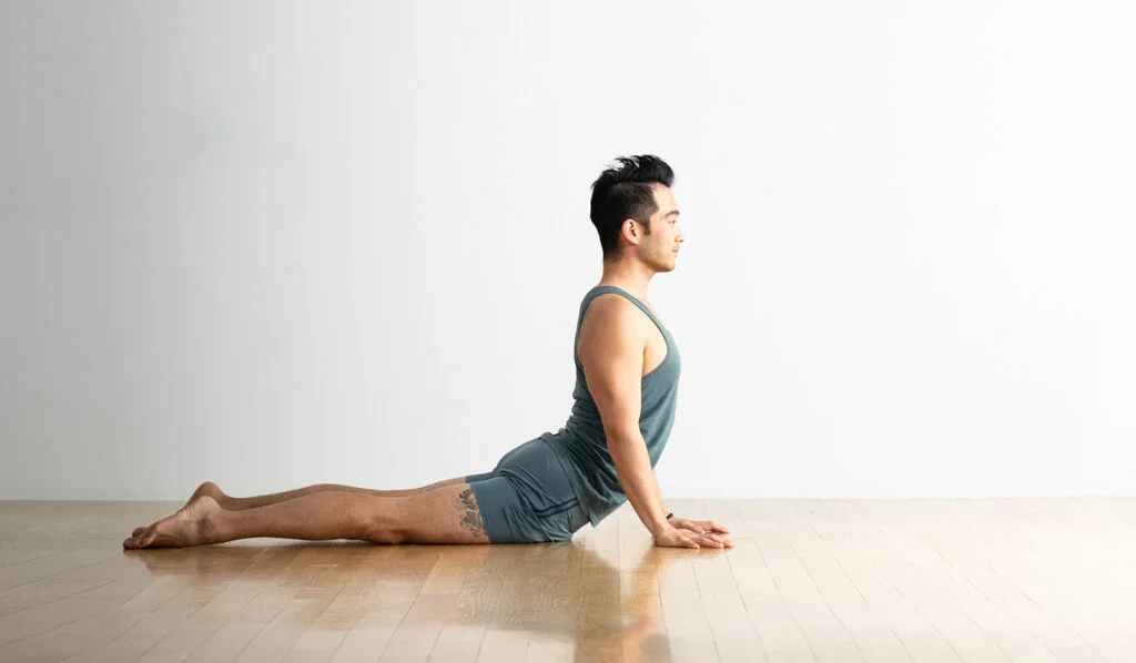 Cobra Stretch- Lengthen and Decompress